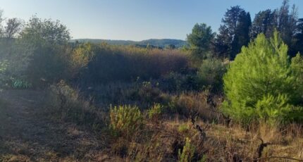 Argens-Minervois Terrain à bâtir - 2644298-11177annonce220260922vpgDS.jpeg Oc Résidences