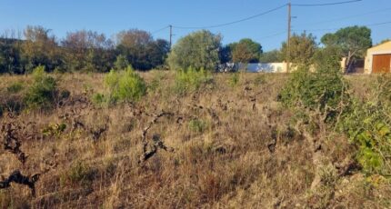 Argens-Minervois Maison neuve - 2644304-11177annonce120260922dxttF.jpeg Oc Résidences