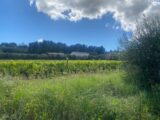 Maison à construire à Ginestas (11120) 2645134-11177annonce120260923z6EfP.jpeg Oc Résidences