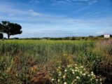 Maison à construire à Marseillan (34340) 2645606-11177annonce120260923g7uUx.jpeg Oc Résidences