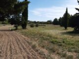 Terrain à bâtir à Saint-Pargoire (34230) 2645715-11177annonce220260923EBamF.jpeg Oc Résidences