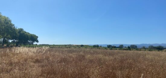 Terrain à bâtir à , Hérault