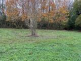 Terrain à bâtir à Castelnaudary (11400) 2649344-3185annonce320260925Shos5.jpeg Oc Résidences