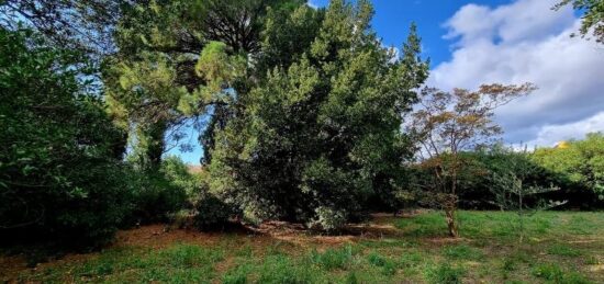 Terrain à bâtir à Pomérols, Occitanie