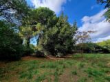 Maison à construire à Pomérols (34810) 2579577-11177annonce1202607091k9LM.jpeg Oc Résidences