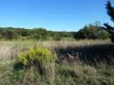 Maison à construire à Bouzigues (34140) 2596852-11177annonce120260805J02ny.jpeg Oc Résidences