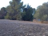 Terrain à bâtir à Moussan (11120) 2604515-11177annonce220260819UAUBO.jpeg Oc Résidences