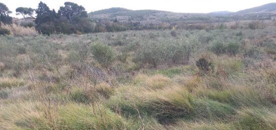 Terrain à bâtir à , Aude