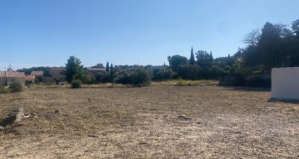 La Palme Maison neuve - 2604185-11177annonce120260818LRJOO.jpeg Oc Résidences