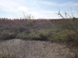Maison à construire à Rieux-Minervois (11160) 2604613-11177annonce120260819LTzvB.jpeg Oc Résidences