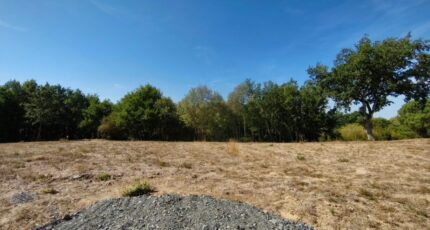 Montans Maison neuve - 2617840-3177annonce120260902nMoiR.jpeg Oc Résidences