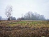 Maison à construire à Viterbe (81220) 2621015-3177annonce120260904qmIKA.jpeg Oc Résidences