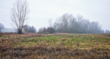 Viterbe Maison neuve - 2621012-3177annonce120260904qmIKA.jpeg Oc Résidences