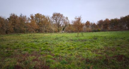 Damiatte Maison neuve - 2621092-3177annonce1202609049ZAKM.jpeg Oc Résidences