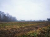 Maison à construire à Viterbe (81220) 2623062-3177annonce120260904NEABm.jpeg Oc Résidences