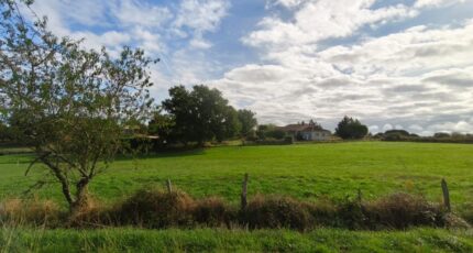 Graulhet Maison neuve - 2623411-3177annonce120260904XdyKV.jpeg Oc Résidences