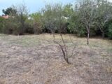 Terrain à bâtir à Lagarrigue (81090) 2658093-5649annonce12026100103fmB.jpeg Oc Résidences