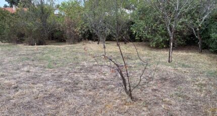 Lagarrigue Terrain à bâtir - 2658093-5649annonce12026100103fmB.jpeg Oc Résidences