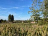 Maison à construire à Labastide-Saint-Sernin (31620) 2662381-11785annonce120260615hEaLC.jpeg Oc Résidences