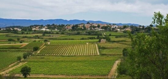 Terrain à bâtir à Pailhès, Occitanie