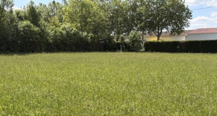 Revel Maison neuve - 2664359-3185annonce3202610068nt4t.jpeg Oc Résidences